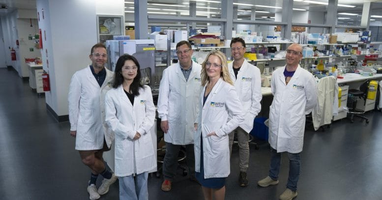 James Vince, Jiyi Pang, James Murphy, Britt Christensen, Andre Samson, and Edwin Hawkins