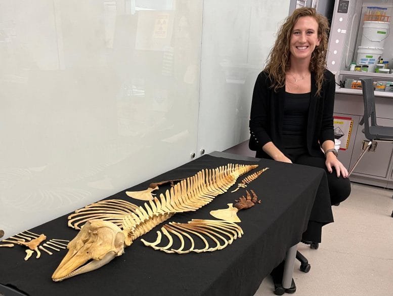 Jamie Knaub Pictured With the Full Skeleton of a Vaquita