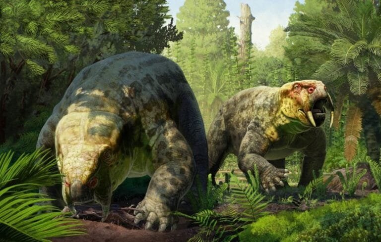 Fóssil de 240 milhões de anos altera cronologia dos dinossauros