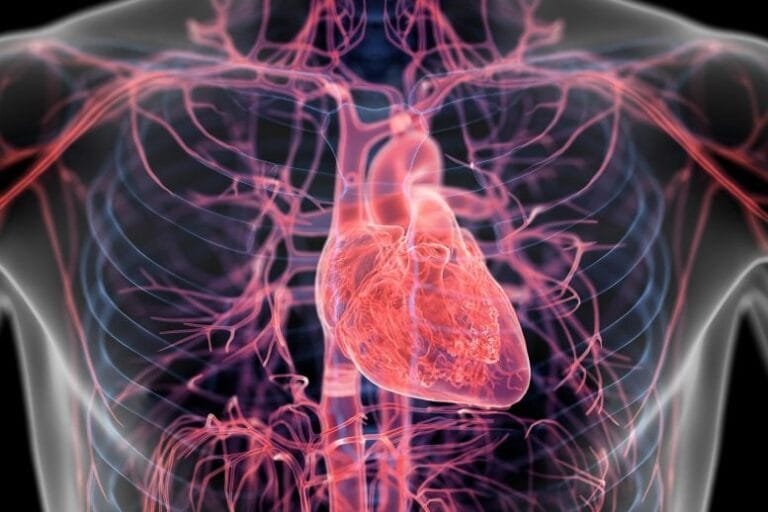 Estudo revela placa arterial oculta em 1 em 13 adultos jovens