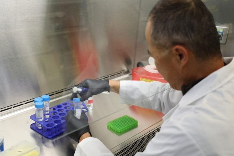 Mike Zhang Works on an Experimental Opioid Vaccine