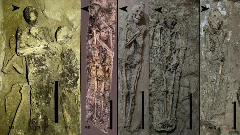 Mummified Individuals From TT 209