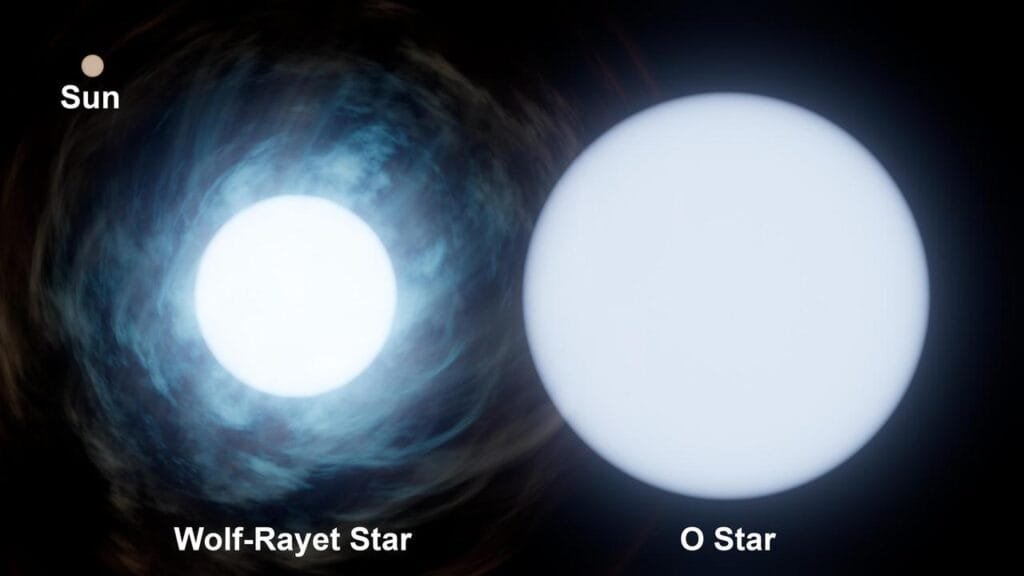 Relative size of the sun (upper left) compared to two stars in binary system Wolf-Rayet 140. O-type stars are short-lived and some of the biggest and brightest stars in the universe. Wolf-Rayet stars are O-type stars near the end of their life that release huge amounts of mass into space via stellar winds, exposing their hot, inner layers. Credit: NASA/JPL-Caltech