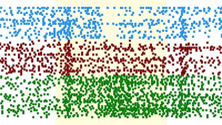 Neural Circuit Models of Visual Processing