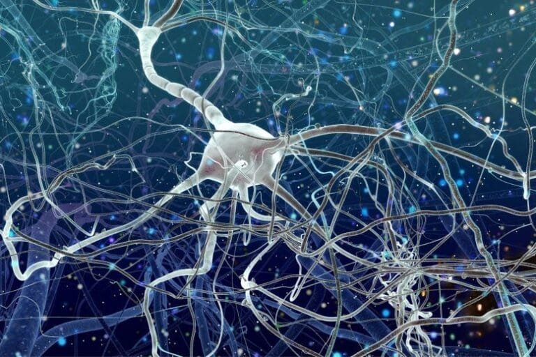 Células imunológicas consomem neurônios vivos em ALS, aponta estudo