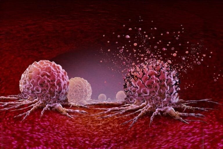 Câncer pancreático desaparece em camundongos com nova terapia mRNA