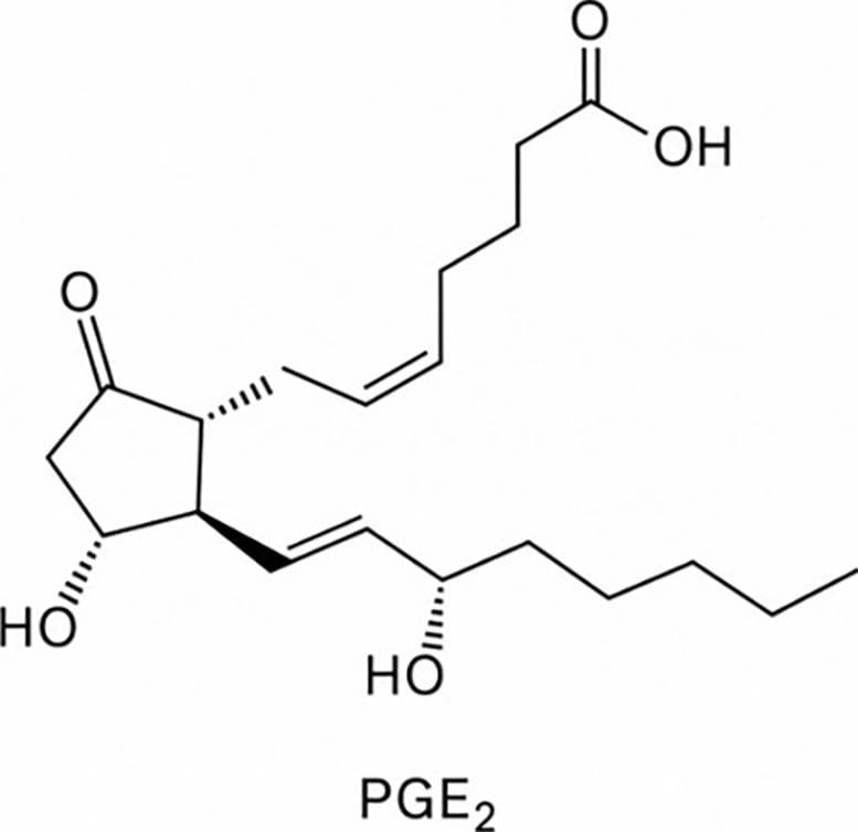 PGE₂ Chemical Structure