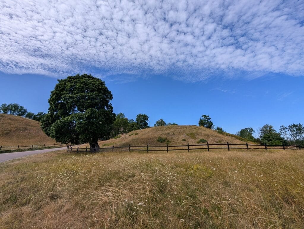 The Burial Mounds north of Uppsala, Sweden. Credit: Bruce Dorminey