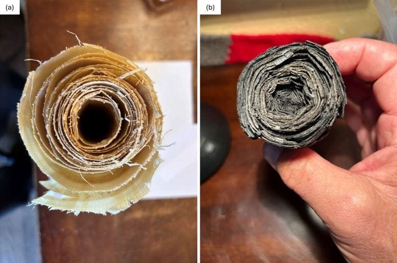 Papyrus Scroll Before and After Carbonization