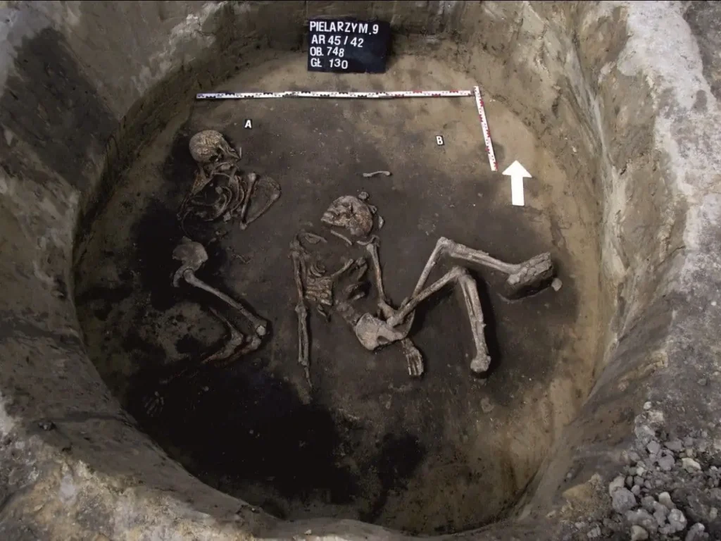 Bronze Age Poland tribe eat millet from china