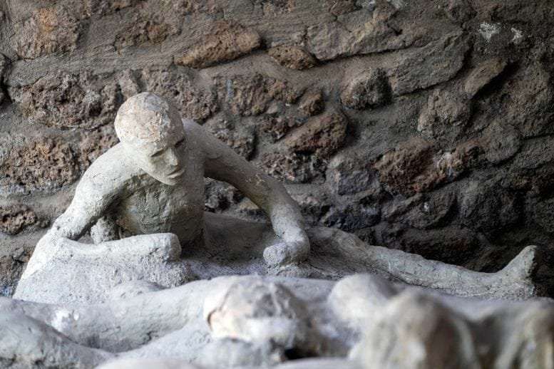 Pompeii Victim Mount Vesuvius Eruption