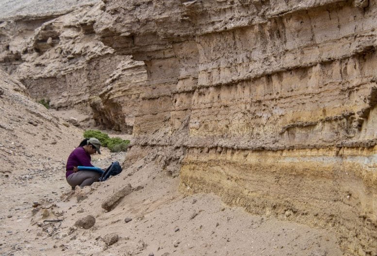 Priscilla Martinez at the Fossil Site in Caldera, Chile