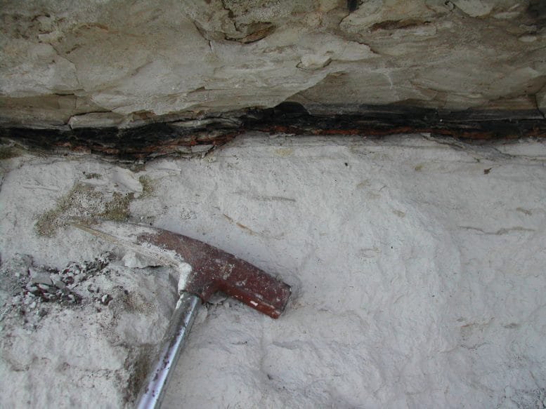 Residue of the Cretaceous Paleogene Impact