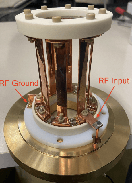 Detailed look at the Birdcage antenna, inspired by MRI machines. Credit - F. Romano