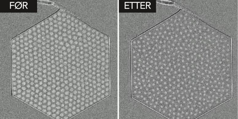 Skyrmion Lattice