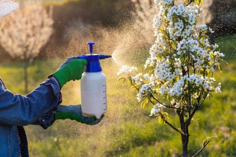 Estudo identifica 485 químicos em pesticidas ligados ao câncer de mama