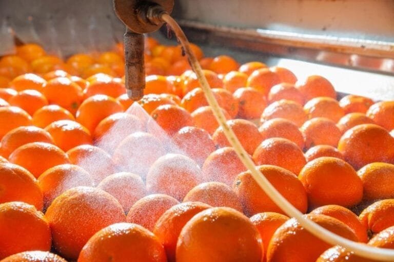 Pesquisadores criam lavagem biodegradável para frutas