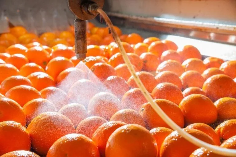 Pesquisadores criam lavagem biodegradável para frutas