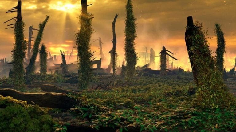 Fósseis de samambaias indicam incêndios na Europa antiga