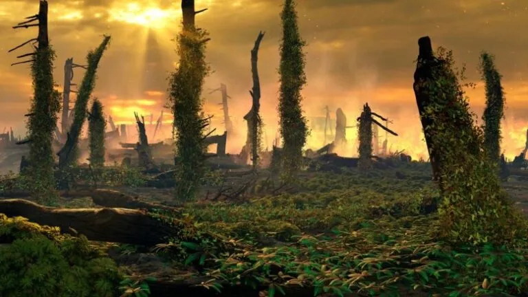 Fósseis de samambaias indicam incêndios na Europa antiga