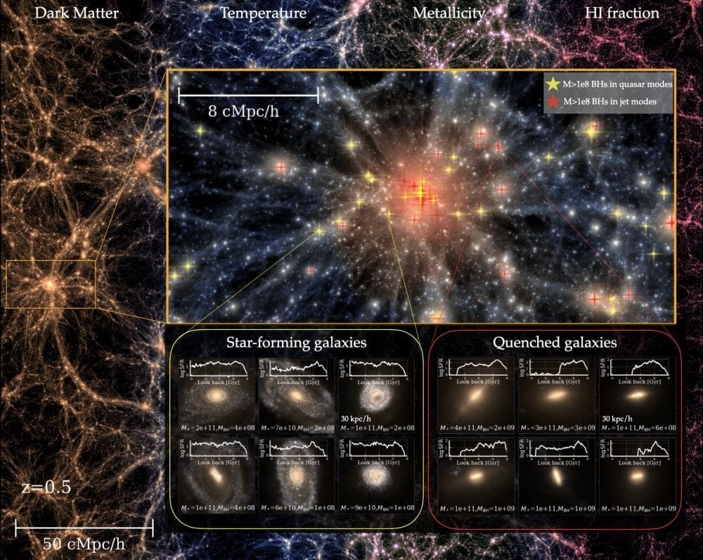 This illustration shows ASTRID's simulation at z=0.5. The background shows the cosmic web of size 250 Mpc/h. The orange inset zooms into a massive cluster region, illustrating the gas density field colored by temperature. Red and yellow spikes mark massive black holes larger than 100 million solar masses. That threshold is important in cosmology. BH more massive than that are good tracers of large-scale structure. Yellow indicates BHs in high-accretion quasar mode, usually found in star-forming galaxies, while red indicates BHs in low-accretion jet mode, usually found in quiescent galaxies. The yellow and red insets show examples of the host galaxies. Credit: Zhou et al. 2026/astrid.psc.edu
