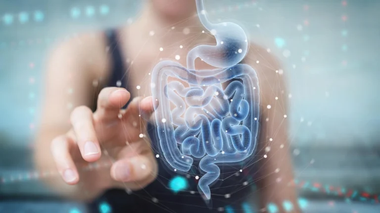 Composto natural do intestino ajuda na recuperação intestinal