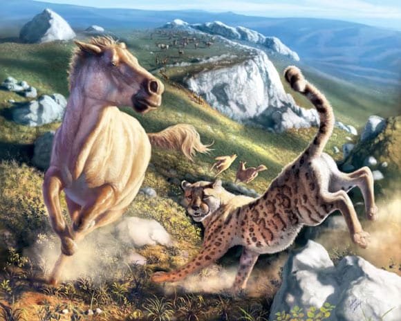 Miracinonyx trumani and the ecosystem this species lived in. Image credit: Julius Csotonyi.