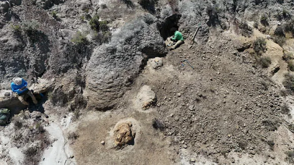 The Tyrannosaurus rex trackway in the Hell Creek Formation in North Dakota, the United States. Image credit: Kent Hups.