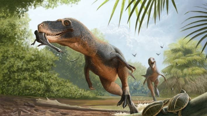 Paleontólogos descobrem penas de ave em coprólito de dinossauro