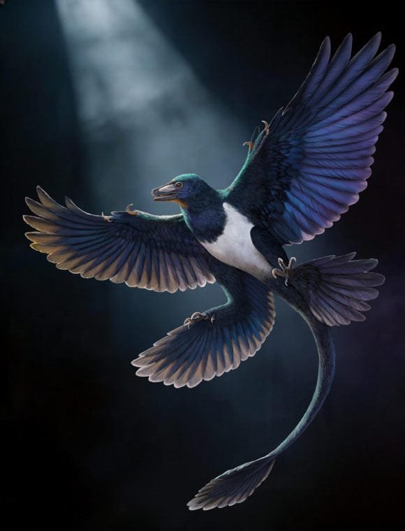Life reconstruction of Norellraptor barsboldi. Image credit: Zhao Chuang.
