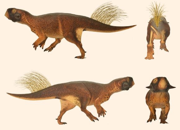 Fóssil de dinossauro de 115 milhões de anos é encontrado na China