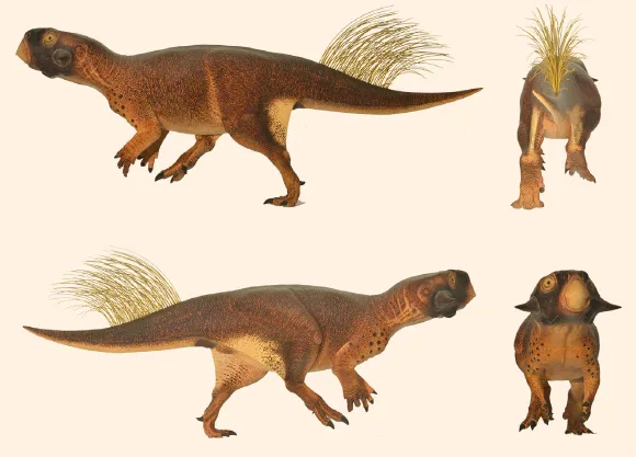 Fóssil de dinossauro de 115 milhões de anos é encontrado na China