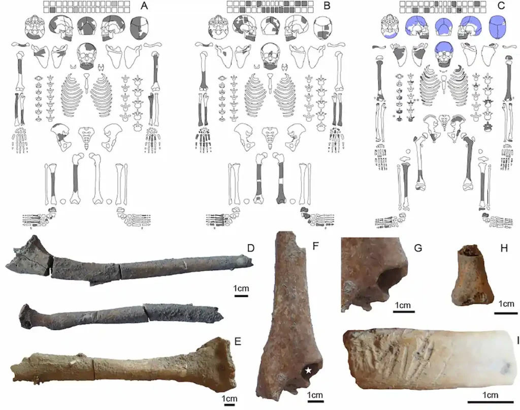 Göbekli Tepe burials bones mixed buildings