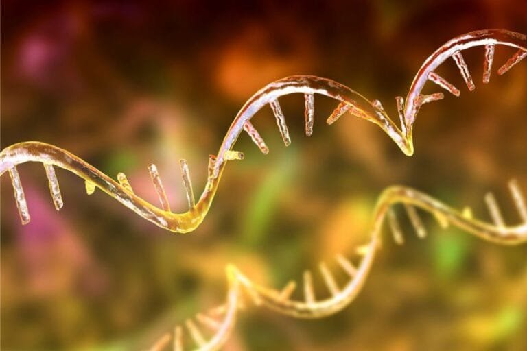 Nova estratégia com RNA pode tratar mil doenças genéticas