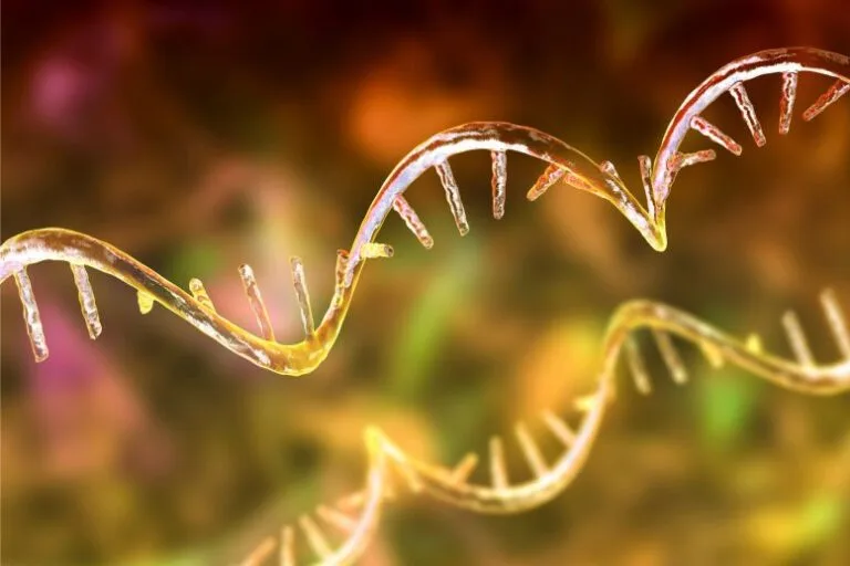Nova estratégia com RNA pode tratar mil doenças genéticas