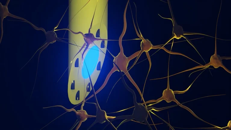 Cientistas desenvolvem implante cerebral multifuncional