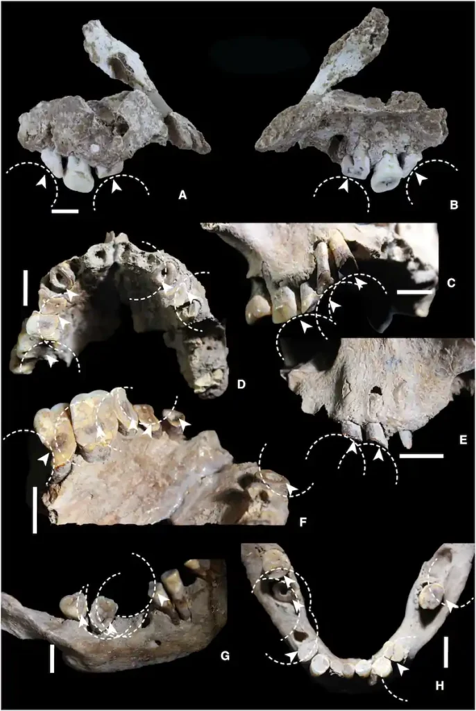 drug use ice age indonesia