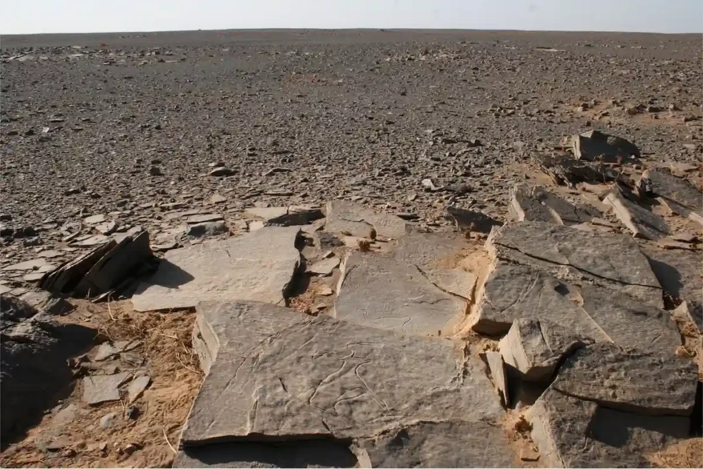 Western Sahara tomb 55 meters long 4000 years old