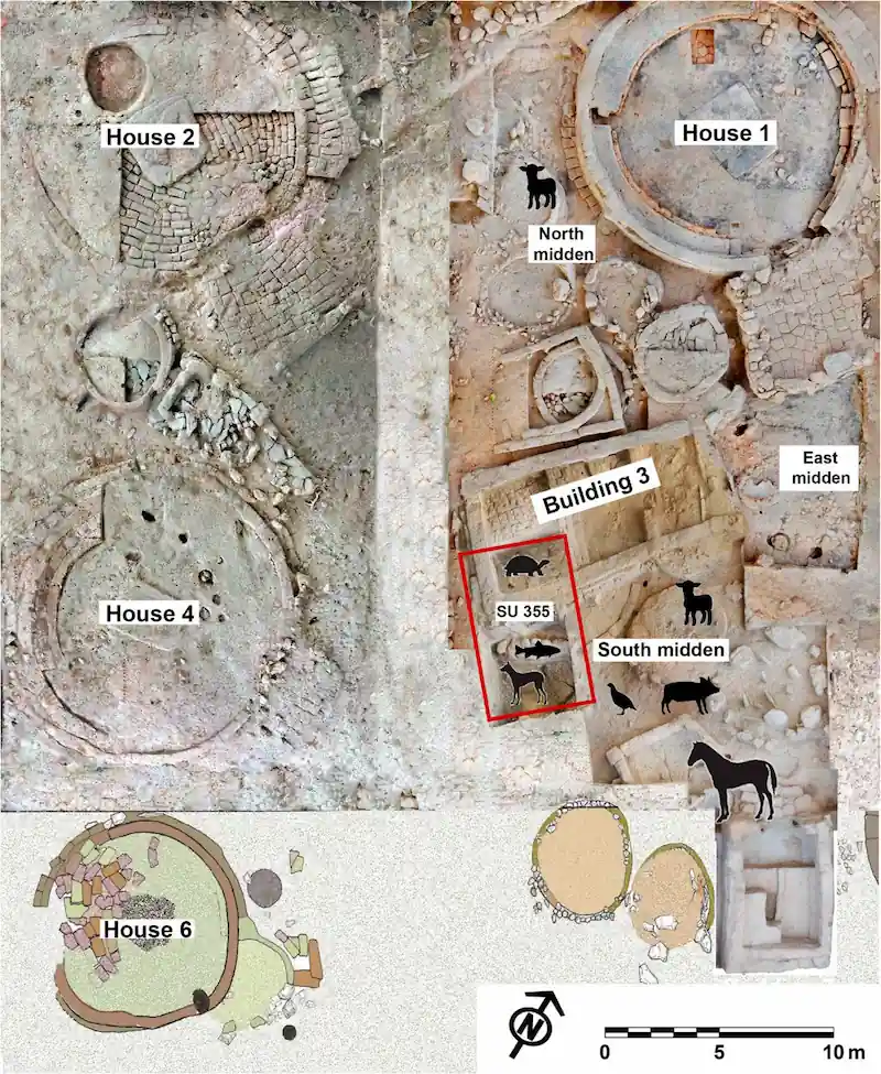 spain Iron Age settlement food