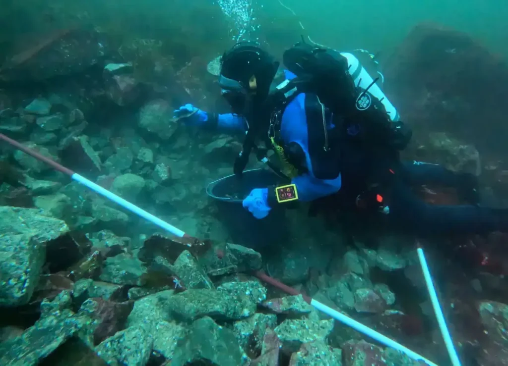oldest anchor in the world found in Norway stone age