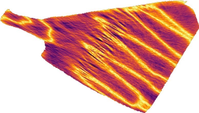 3D X Ray Reconstruction of Cuprate Superconductor