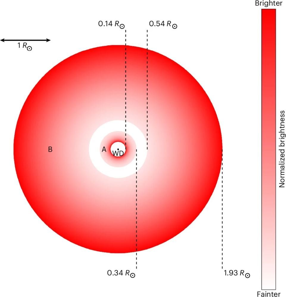 This figure shows the double-disk structure around WD J1328–1450 (inner disc A, outer disc B) and the gap to scale. The colour gradient reflects the brightness profile of the discs. Image Credit: Gentile Fusillo, N.P., Lagos-Vilches, F., Gänsicke, B.T. et al. A double debris disc around a white dwarf sculpted by two planetary bodies. Nat Astron (2026). https://doi.org/10.1038/s41550-026-03004-3