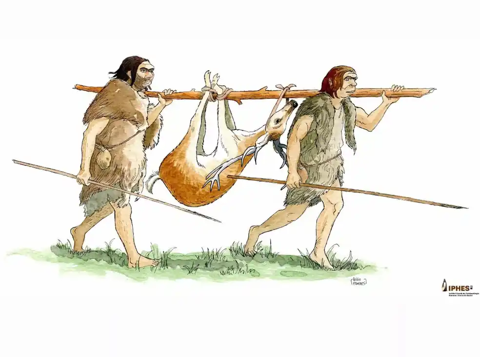 abric romani barcelona spain neanderthal wood tools