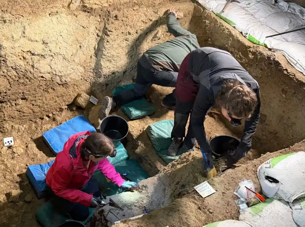 neanderthal hand with dna spain