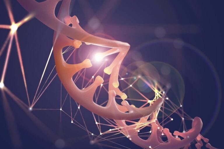 Inteligência artificial detecta sinais de envelhecimento em DNA