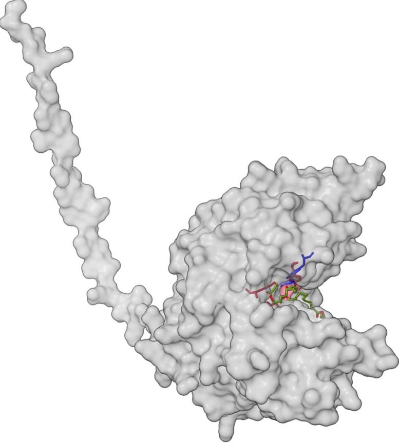 AlphaFold3 Model of Newly Discovered Plastic Depolymerase