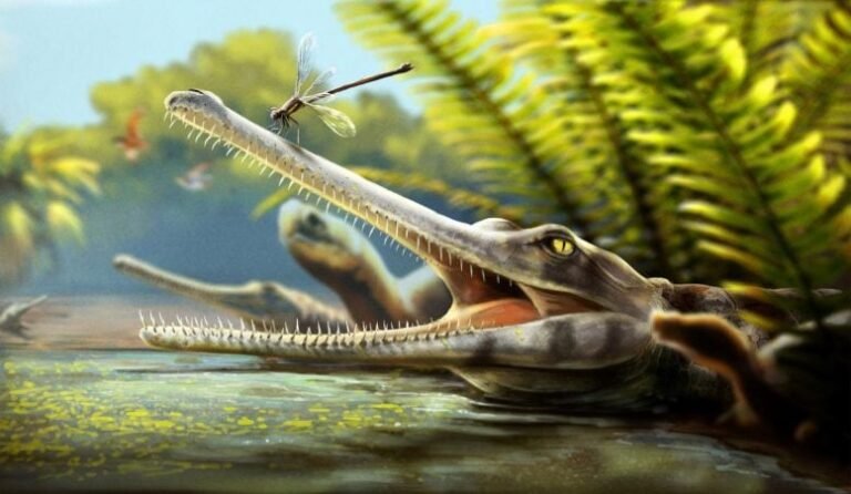 Crocodilo pré-histórico de 170 milhões de anos desafia conceitos