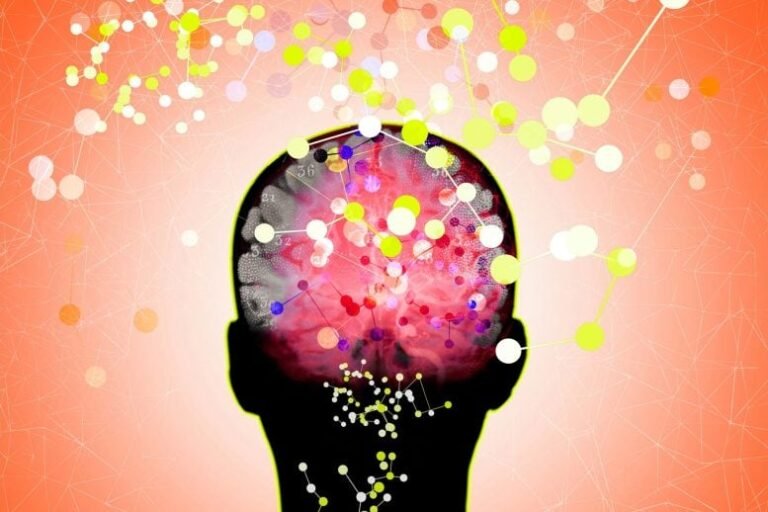Pesquisadores protegem células cerebrais em modelo de Alzheimer
