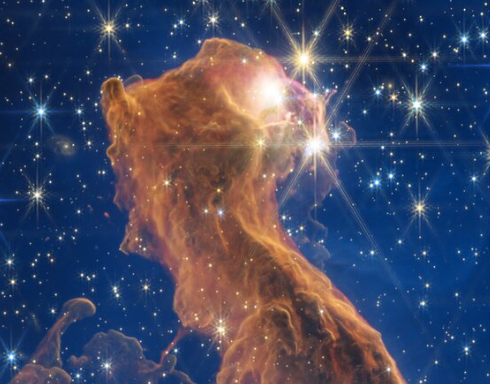 A zoomed-in JWST NIR image of the head in the Cat's Head Nebula. Image Credit: NASA, ESA, CSA, STScI. Image Processing: J. Depasquale (STScI)