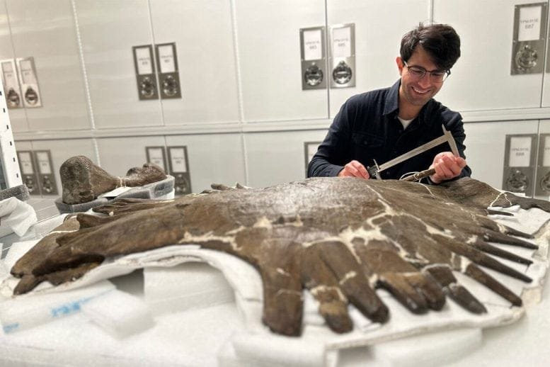 Caleb Gordon Takes Measurements of Ancient Turtle Bone